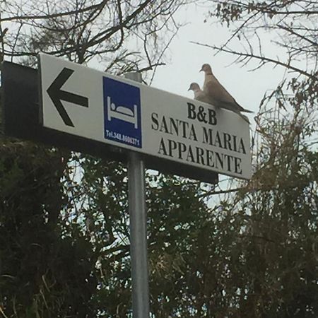 Monolocali B&B Santa Maria Apparente ชิวิตาโนวา มาร์เค ภายนอก รูปภาพ